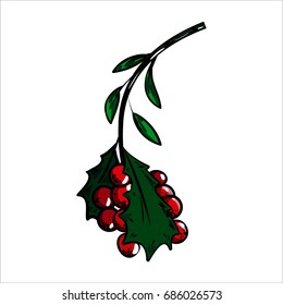Color Sketch Holly Branch and Red Berries