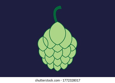 Color Sketch of hops Vector. Humulus lupulus icon for packaging, pattern, beer, brewery illustration.

