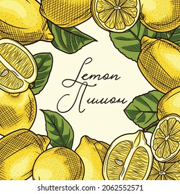 Color sketch picture frame from lemon. Vector illustration of a lemon. Lemon fruits and leaves. Ripe lemon hand drawing.