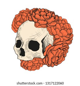 Color sketch skull in red peony flowers.