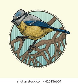 Color sketch tit bird. Vector illustration