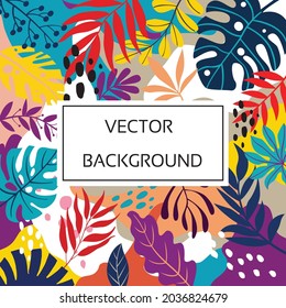 Color splash abstract background for design. Design banner frame. Colorful background with tropical plants. Place for your text.
