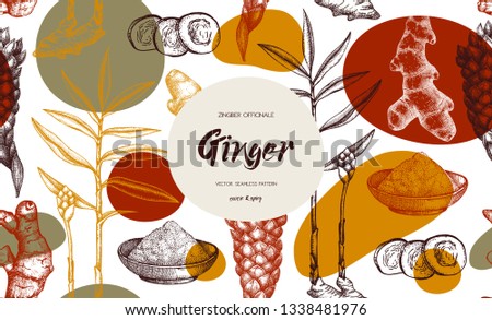 Color splash background with ginger. Hand drawn botanical illustration with flower, leaf, roots. Spice plant seamless pattern. Abstract trendy elements for banner design, textile or wrapping papper. 