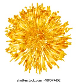 Color splash vector flower illustration. Yellow flower.