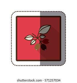 color sticker silhouette in square frame with coffee tree branch