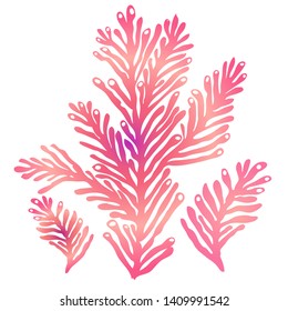 Color stylised silhouette of sea koral isolated on white background. Ink hand drawn picture emblem in art retro contour print style. View closeup element for sea design. 
