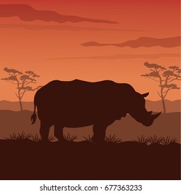 color sunset scene african landscape with silhouette rhino standing