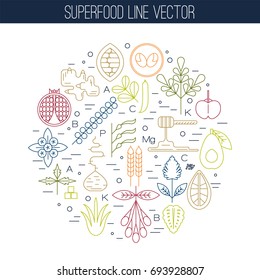 Color superfood line icons, round composition. Pomegranate, ginger, lucuma, spirulina, kelp, noni, cacao, baobab, blueberry, goji, acerola, honey, avocado, quinoa.