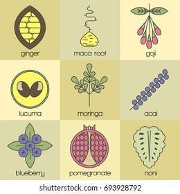 Color superfood line icons set. Color background. Cacao, maca, goji, lucuma, moringa, acai, blueberry, pomegranate, noni