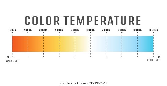 color temperature of the light. The scale of color gradation of the temperature of the light wave. Gradient shades of cold, daylight and warm light. White balance adjustment