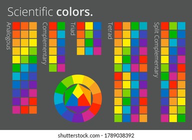 Color theory pallete with multicolored wheel and subtractive complementary triadic and square schemes vector illustration
