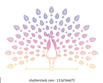 Color thin line peacock logo. Outline peacock label isolated on white background, vector illustration