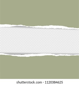 Color Torn Paper, Vector Illustration