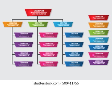 Color Trapezoid Organization Chart Infographics With Shadow, Text Information, Business Structure Concept, Business Flowchart Work Process, Vector Illustration