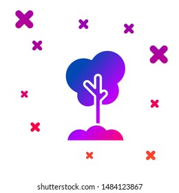 Color Tree in the ground icon isolated on white background. Forest symbol. Gradient random dynamic shapes. Vector Illustration