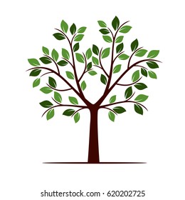 Color Tree with Leafs. Vector Illustration.