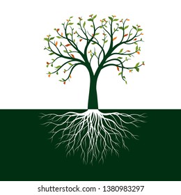 Color Tree of Life with Roots. Vector Illustration. Isolated object.