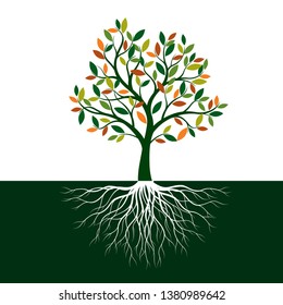 Color Tree of Life with Roots. Vector Illustration. Isolated object.