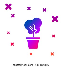 Color Tree in pot icon isolated on white background. Houseplant in pots. Natural decor for home and interior. Potted plant sign. Gradient random dynamic shapes. Vector Illustration