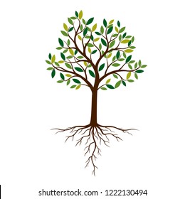 Color Tree and Roots. Vector Illustration. Plant and Garden.