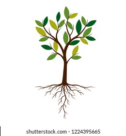 Color Tree and Roots. Vector Illustration. Plant and Garden.