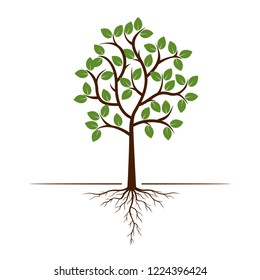 Color Tree and Roots. Vector Illustration. Plant and Garden.