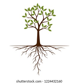 Color Tree and Roots. Vector Illustration. Plant and Garden.