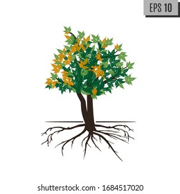 Color Tree and Roots. Vector Illustration. Plant and Garden.