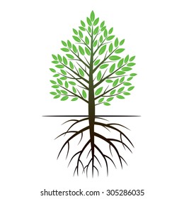 Color Tree and Roots. Vector Illustration.