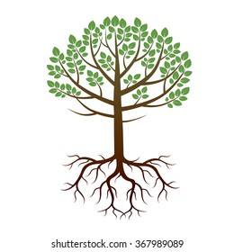 Color Tree and Roots. Vector Illustration.