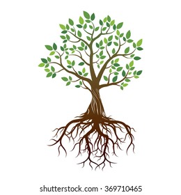 Color Tree and Roots. Vector Illustration.