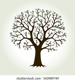 Color Tree and Roots. Vector Illustration.
