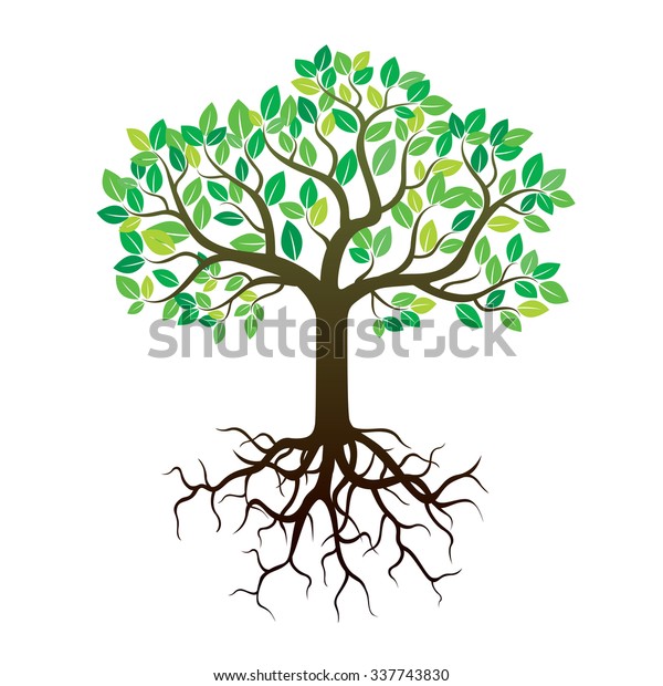 Color Tree Roots Vector Illustration Stock Vector (Royalty Free ...