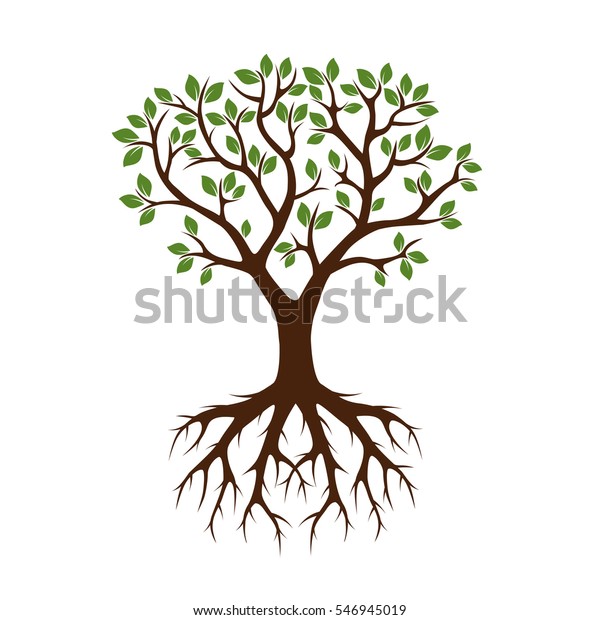 Color Tree Roots Vector Illustration Stock Vector (Royalty Free) 546945019