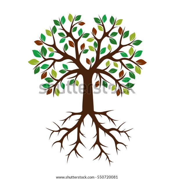 Color Tree Roots Vector Illustration Stock Vector (Royalty Free) 550720081