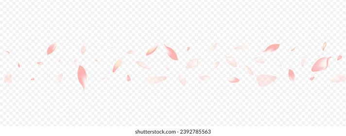 Color Tree Vector Panoramic Transparent Background. Blossom Flying Design. Bloom Spring Poster. Cherry Flutter Banner. Light Leaf Wallpaper Card.