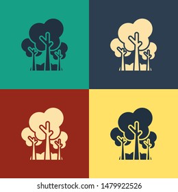 Color Trees icon isolated on color background. Forest symbol. Vintage style drawing. Vector Illustration