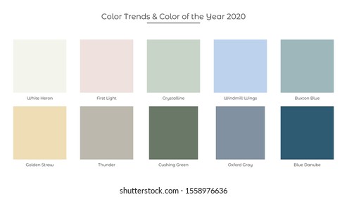 Color Trends and Color of the Year 2020 fresh palette. Trandy colors. Vector illustration