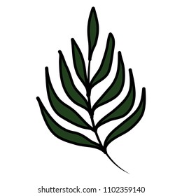 color tropical branch plant leaves style