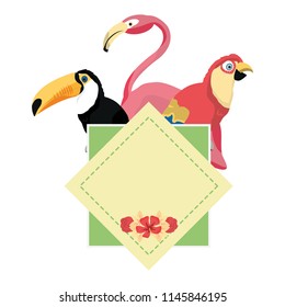 color tropical emblem pelican with parrot and flemish birds