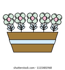 color tropical flowers plants style inside flowerpot