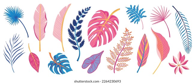 Color tropical leaves of various exotic plants flat set isolated on white background vector illustration