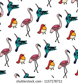 color tropical nice birds animals background