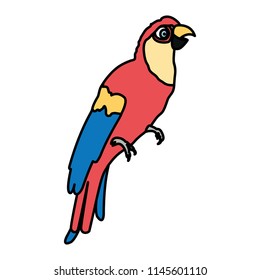 Color Tropical Parrot Bird Animal Style Stock Vector (Royalty Free ...