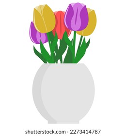 Color tulips in jar. Garden flowers bouquet isolated on white background
