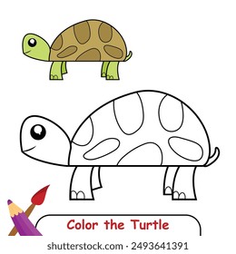 Color the Turtle drawing illustration. coloring book for kids. turtle coloring page colored illustration