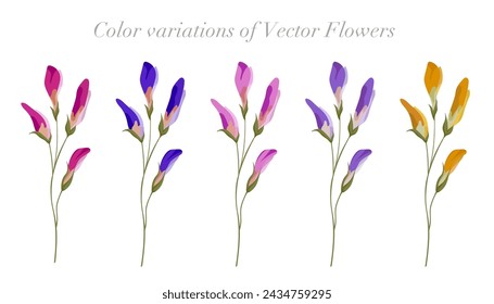 Variación de color de las flores. Ilustración vectorial.