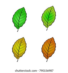 Color Variations Vector Illustration Beech Leaf Stock Vector (Royalty ...