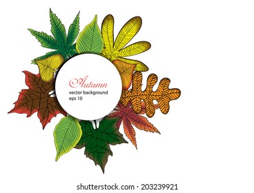 color vector autumn leaves frame