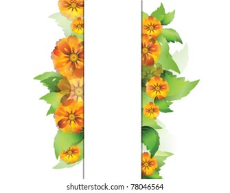 color vector background with everlasting flowers and leaves with space for your text